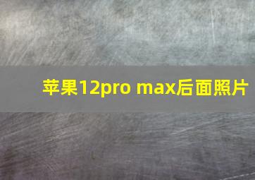 苹果12pro max后面照片